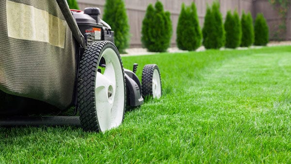 Landscaping Companies