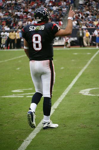 schaub