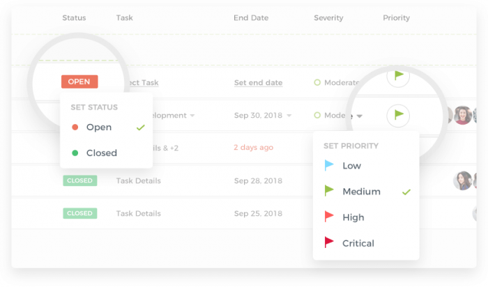 issue_priority_status1