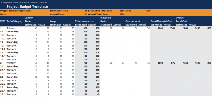 project budget example